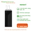Máy lọc nước Kangaroo KG10A19